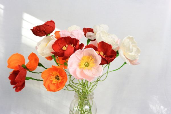 Paper Poppies
