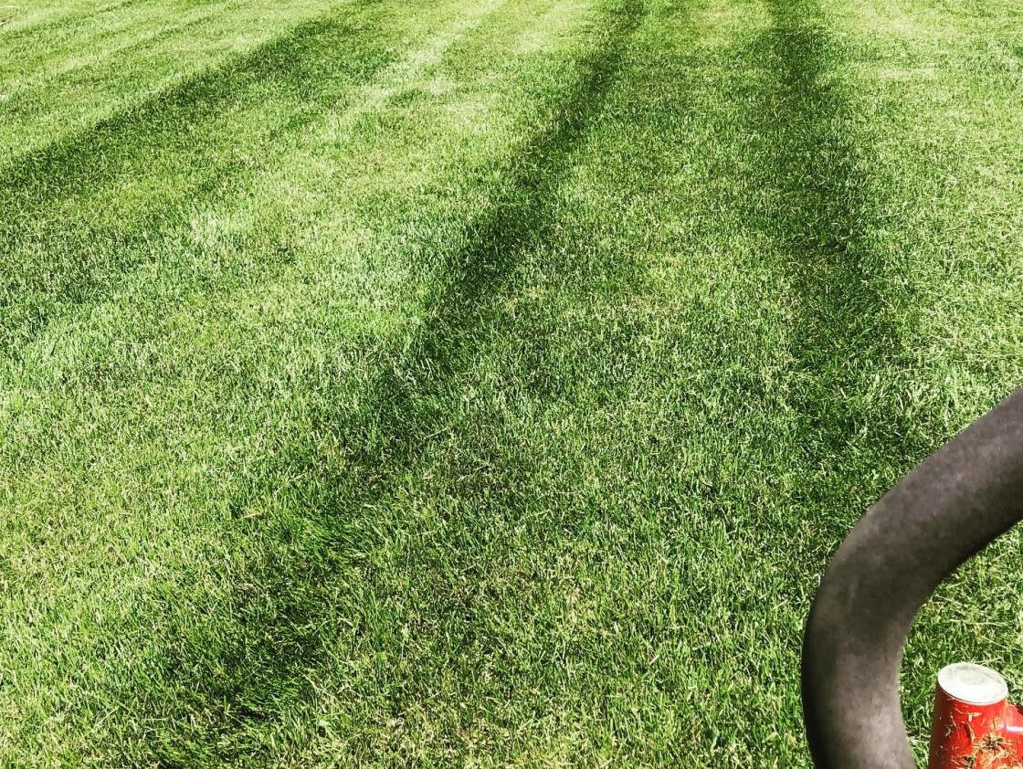 services-lawn